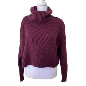 Hollister Purple Long Sleeved Turtleneck